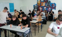 Slika